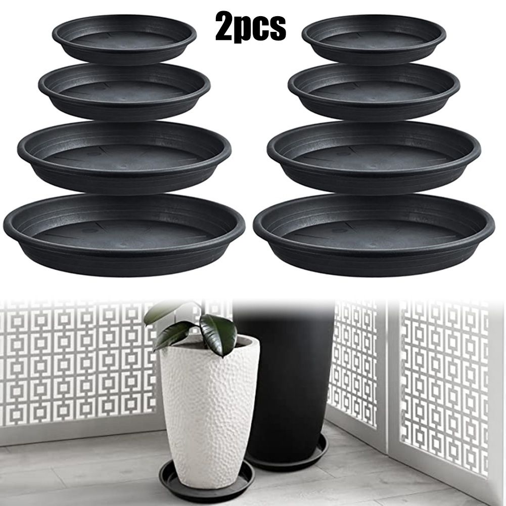 2pcs Plant Trays Round Succule - Echeveria Succulent ulasan dan harga