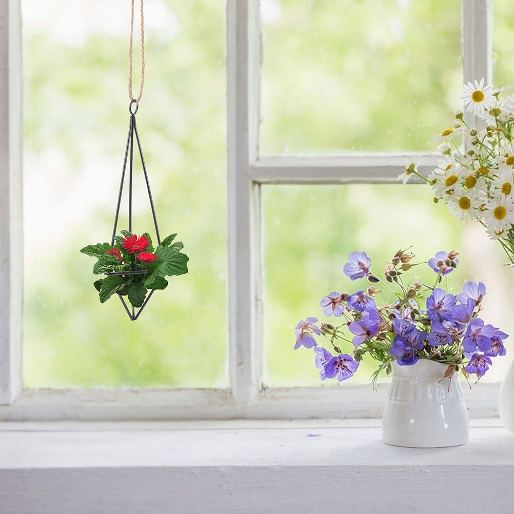 2Pcs Hanging Air Plant Holder  - Spider Plant Hanging ulasan dan harga